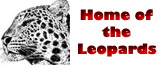 Leopards